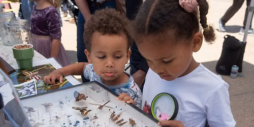 Pollinator Day at Presidio Tunnel Tops