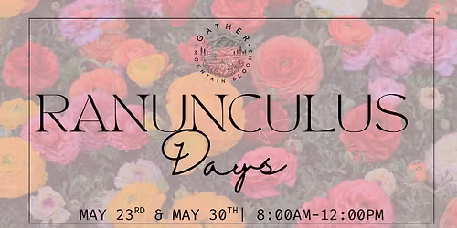 Ranunculus Days 