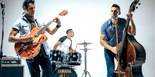 Party Night with The Houndogs