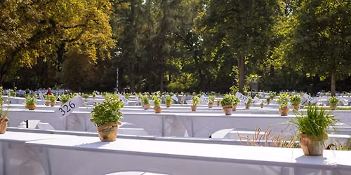 Dinner-Picknick im Bernauer Stadtpark