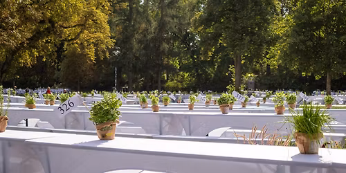 Dinner-Picknick im Bernauer Stadtpark