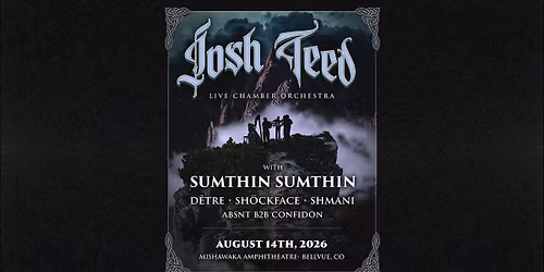 Josh Teed Live Chamber Orchestra