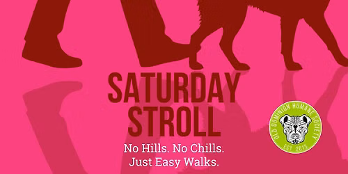 Saturday Stroll - August 29