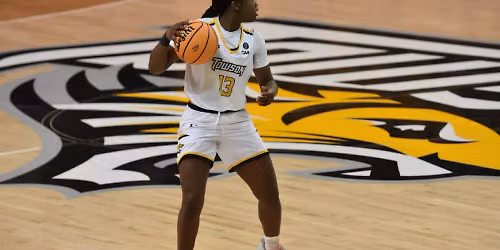 Hampton Pirates at Towson Tigers Womens Basketball