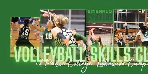 Emerald Rain Hitting Clinic at Pierce College, Lakewood