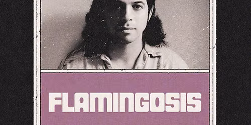 Flamingosis at The 8x10 10\/31