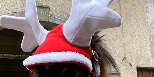 Nikolaus am Pferdehof 