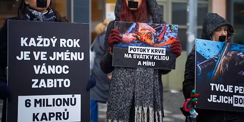 Tich\u00e1 uli\u010dka za kapry 2025 - PRAHA 