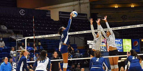 UC Davis Aggies Women's Volleyball vs. Air Force Falcons