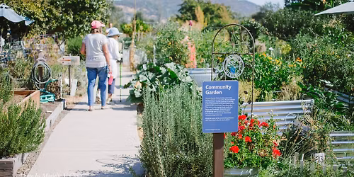 Taller de planificaci\u00f3n del jard\u00edn y siembra de semillas