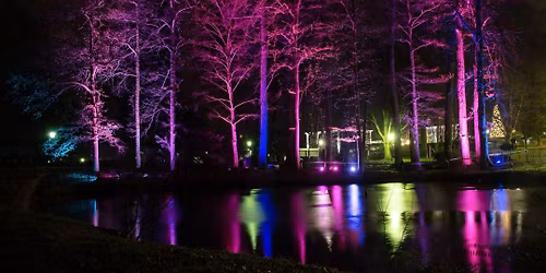 Bad Orber Winterzauber