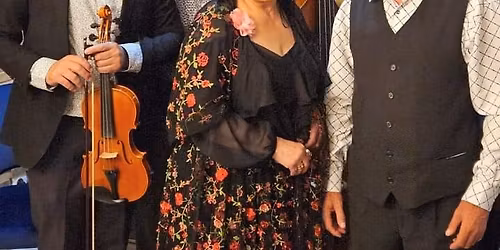 BALKAN GIPSY NIGHT: TARAF AUREL BUDI\u0218TEANU 