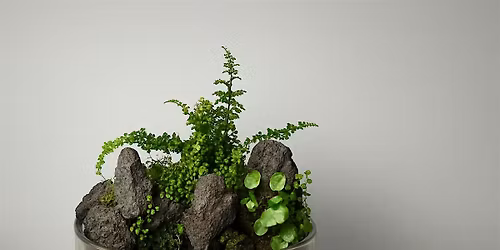 Aquatic Terrarium Workshop