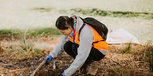 \ud83d\udc1c National Tree Day \ud83c\udf33