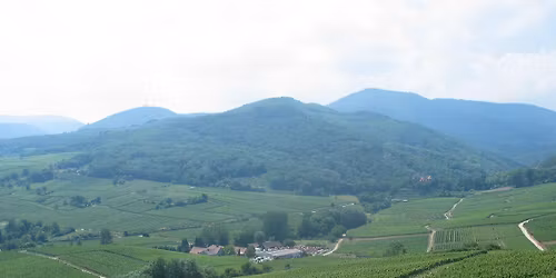 Chantier nature participatif \u00e0 Bergheim\/Rorschwihr \u00ab Grasberg \u00bb (68)