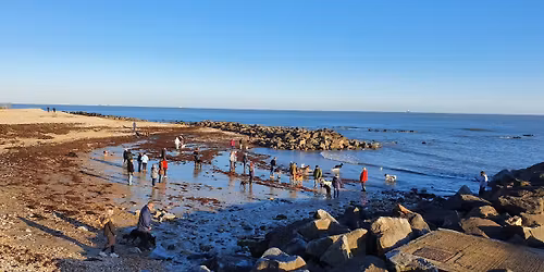 Ry's Big Social Meet #106