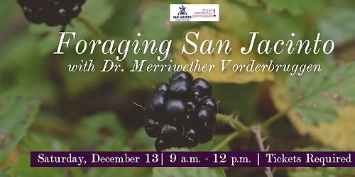 Foraging San Jacinto