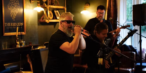 Live at The Red Lion Inn (Bridge)