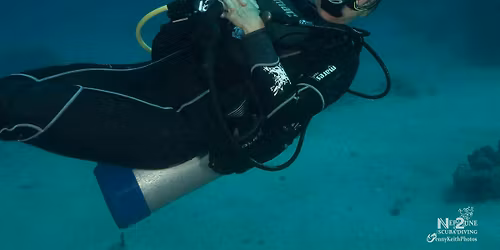 Entwined: Dispatches from the Intersection of Species