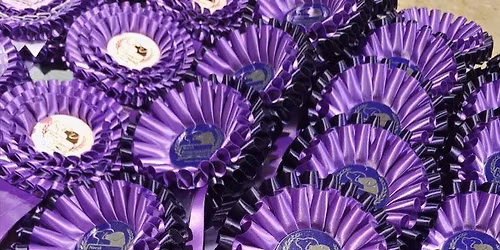 Utstilling! Dobbel rasespesial for retrieverrasene