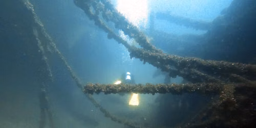 SSI Advanced Wreck Diving: Explore the inside 