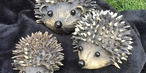 Hedgehog Pottery Workshop