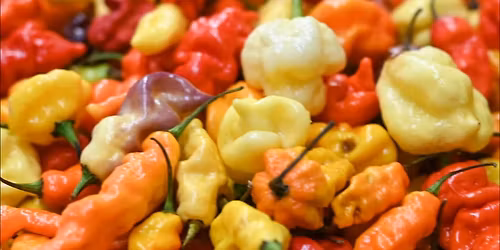 Burns Shamanic Initiation