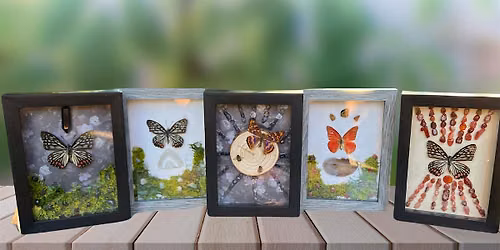 DIY Taxidermy Butterfly Shadow Box Class with Boozy Brunch