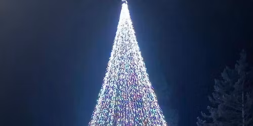 Christmas Grotto at the Tall Twinkling Tree in Hatfield Heath CM227AX