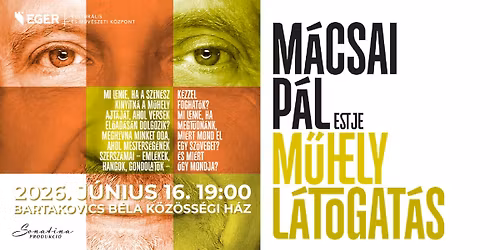 M\u0171helyl\u00e1togat\u00e1s - M\u00e1csai P\u00e1l estje 