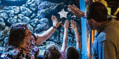 Waves of Appreciation Weekends @CLEAquarium
