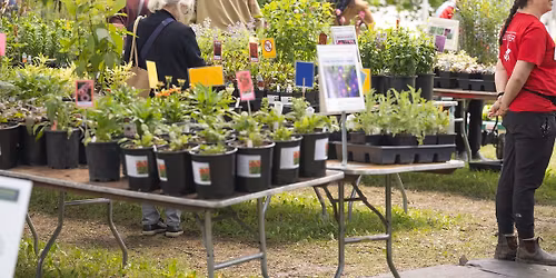 Chadwick Arboretum Spring Plant Sale & Auction Fundraiser