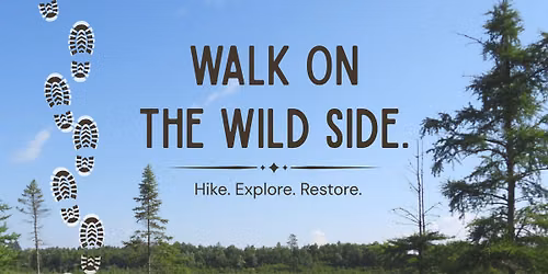 Walk on the Wild Side
