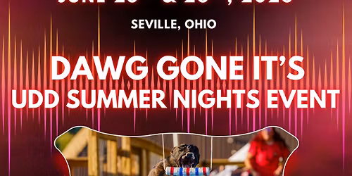 DGI\u2019s UDD Summer Nights Event