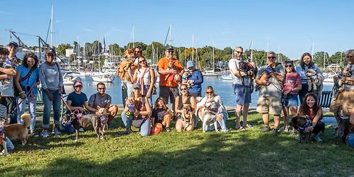 Paws in the Park Dog Walk & Festival