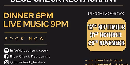 Big Mama Funk'in @ Blue Check Bushey - residency!***family friendly***