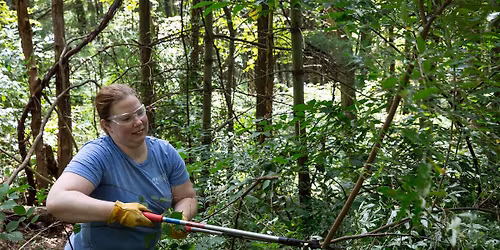 Volunteer: Habitat Restoration