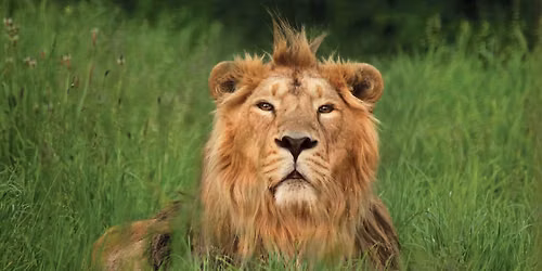 Cotswold Wildlife Park, Burford
