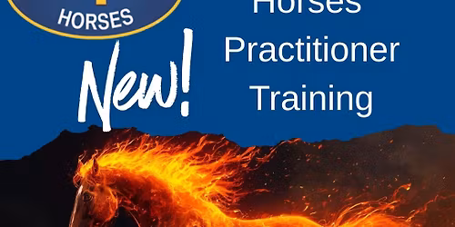 EMMETT 4 Horses Workshop