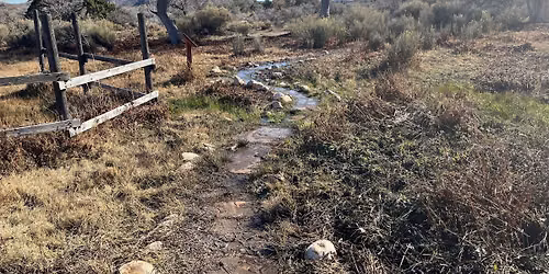 Mid-Week History Hike