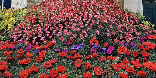 Poppy Army Meet Up. Bring Those, Knitting Needles, Crochet Hooks and Sewing Needles 