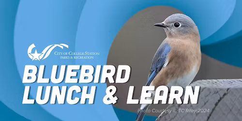 BLUEBIRD LUNCH AND LEARN