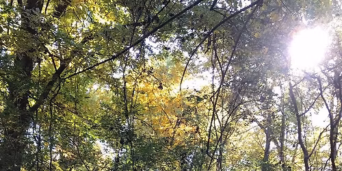 Turkey Mountain Yoga