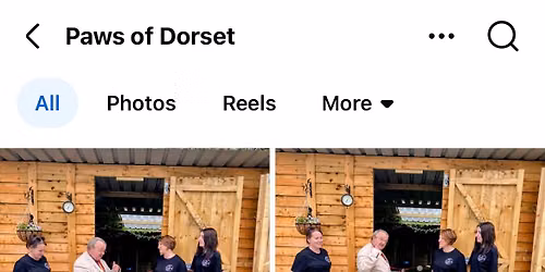 Paws \ud83d\udc3e of Dorset fun day out