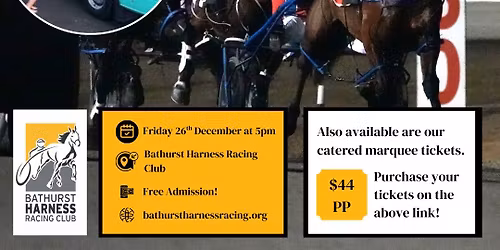 Boxing Night Races