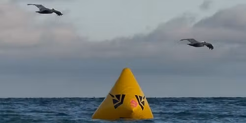 Sunshine Open Water Swim 1