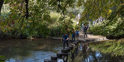 Box Hill and the North Downs