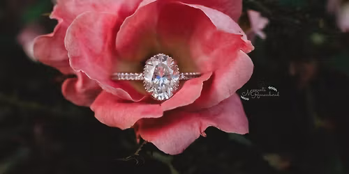 Tree Farm Mini Sessions