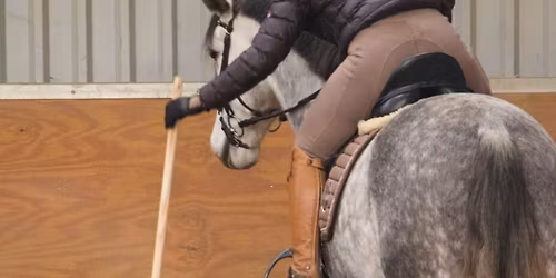 Working Equitation clinic