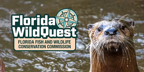 WildQuest Adventure Walk